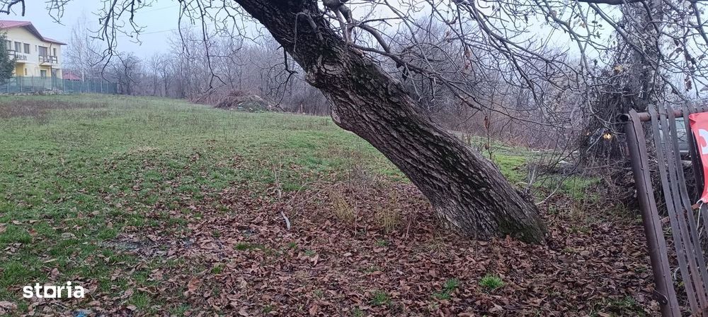 Proprietar Teren intravilan DE VÂNZARE (negociabil) sat Bobolia -PH