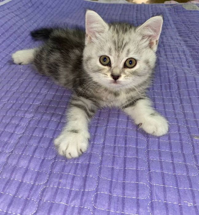 Йцукенгшщзхфывапролджэячсмитьбю