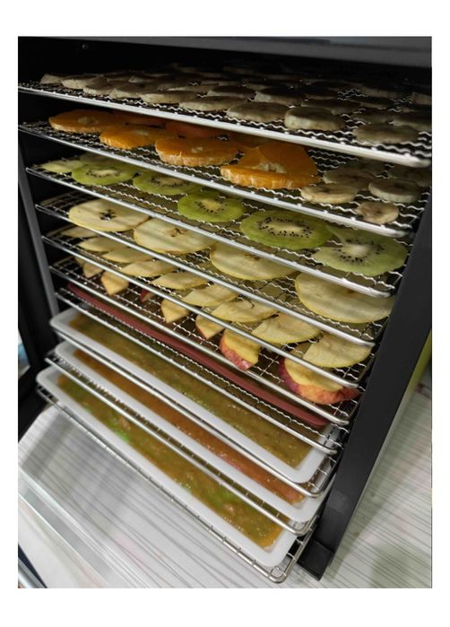 Дегидратор RAVMID DDP-10