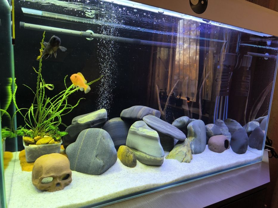 Продам аквариум 170 литров