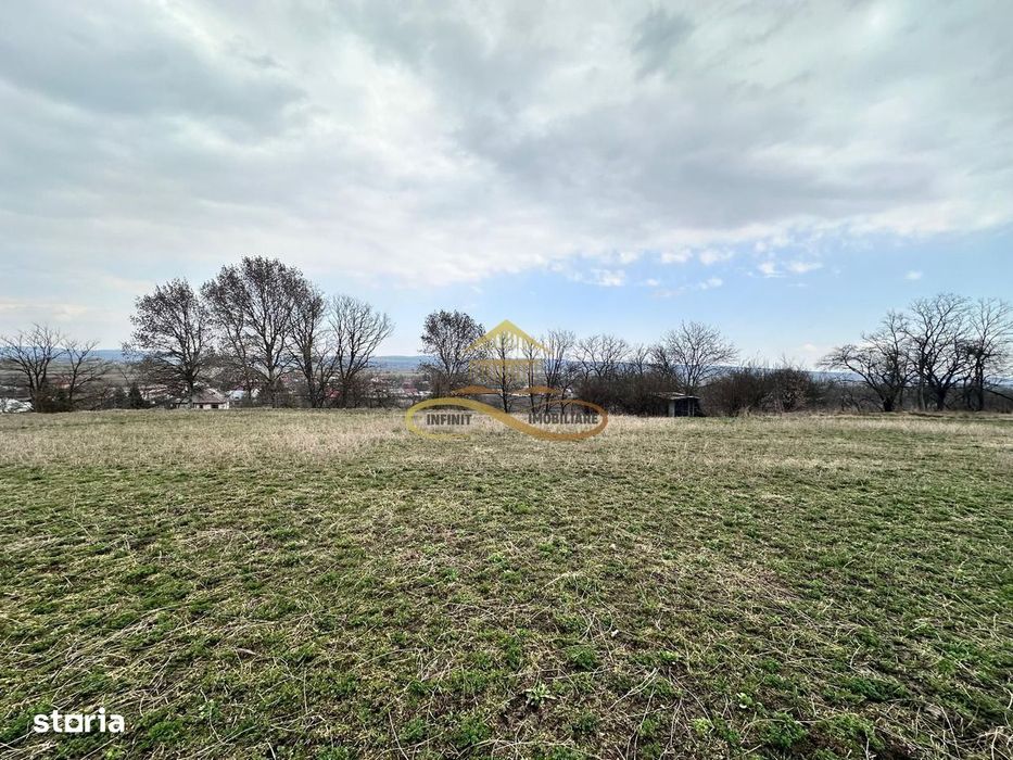Teren de vanzare Blagesti Bacau