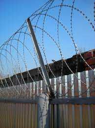 Егоза, Колючая проволока. Egoza, tikanli sim yegoza kalyuchi provolka.