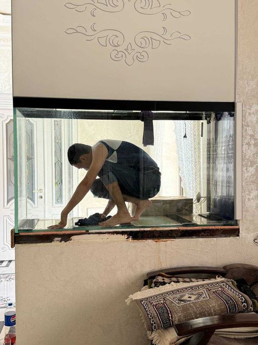 Профессиональная чистка аквариума AQUALIFE