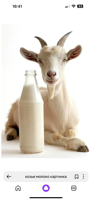 Продам Козье молоко