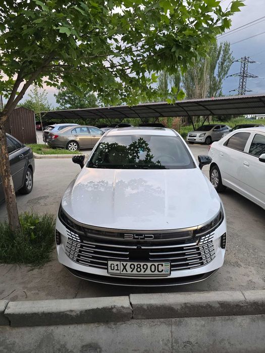 BYD Chazor (Flagship 120 km. full)