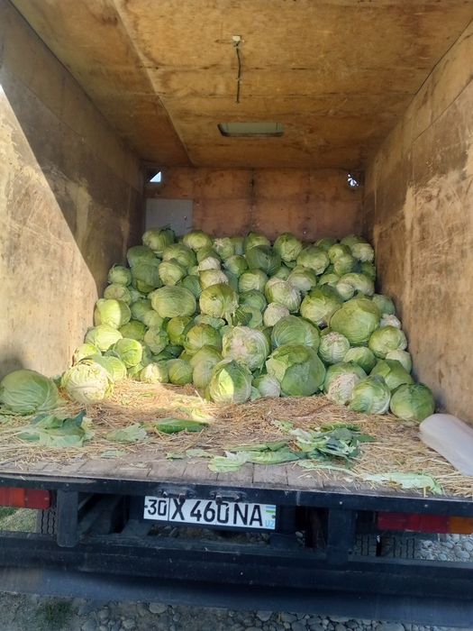 Газель сотилади срочно