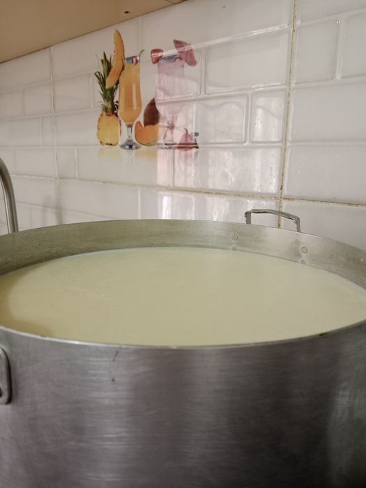 Қолдың суті,100%табиғи