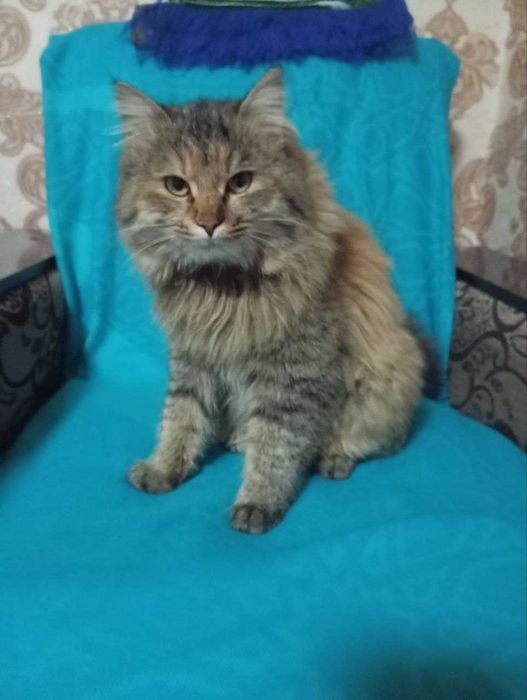 Минкун прадаётса