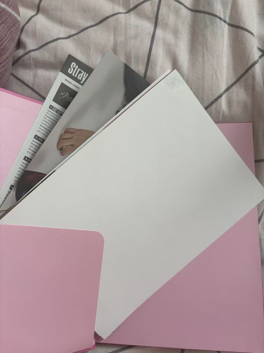 альбом Stray Kids MAXIDENT