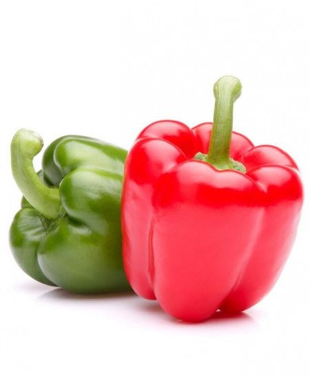 Rasaduri de legume și flori tradiționale românești BIO