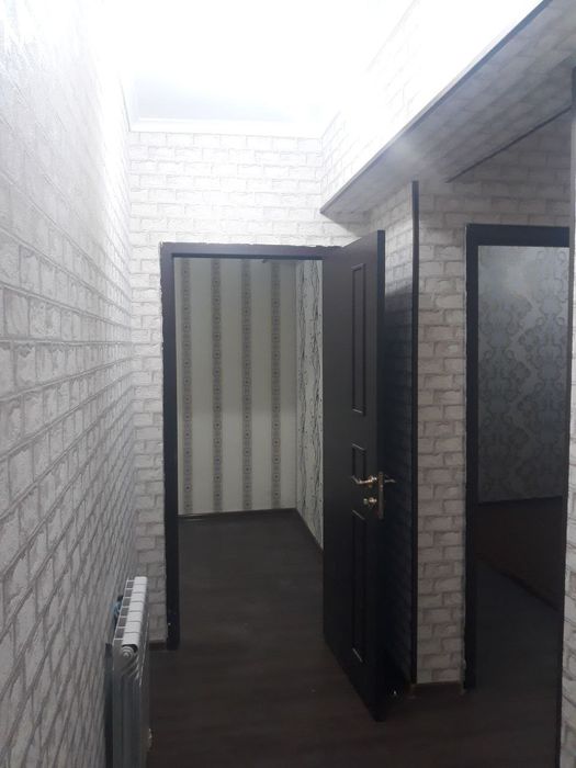 Kvartira solitadi ! Sholkamotal