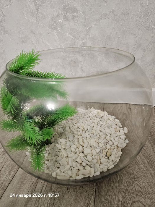 Продам аквариум круглый.