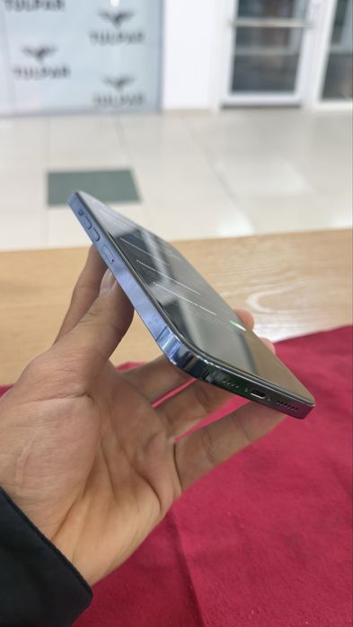 Iphone 13 pro max 1 tb
