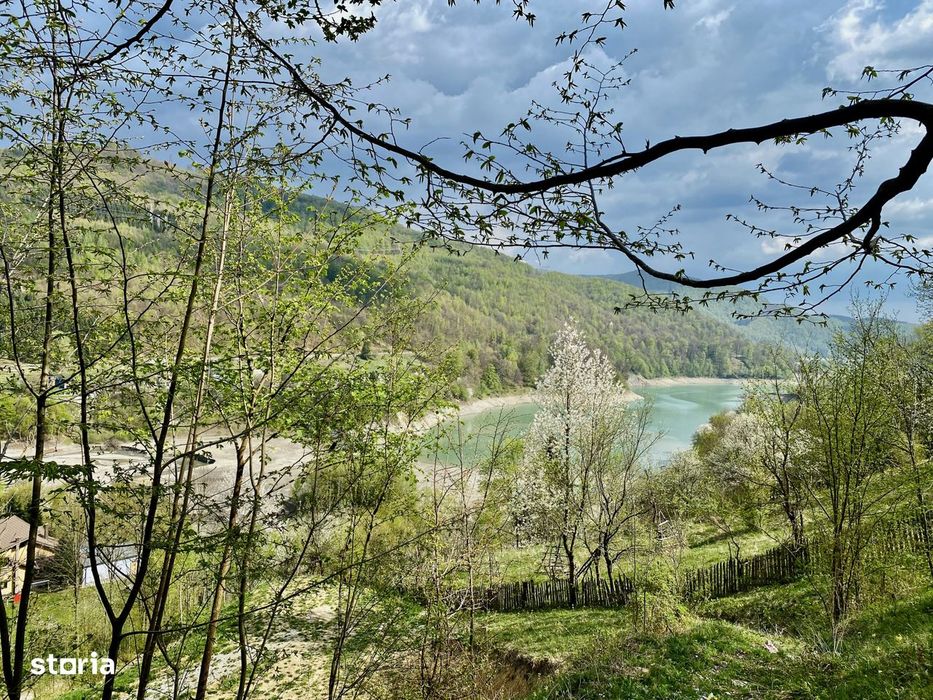 Teren vedere panoramica lac Paltinu si dealuri impadurite in Valea Dof