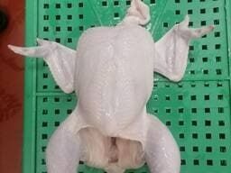 Broyler tovuq go'sht maxsulotlari