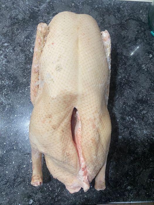 В продаже домашние гуси