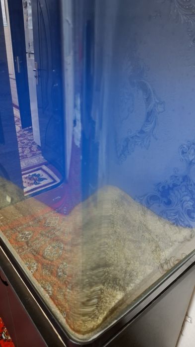 Akvarium zavod pechka fiktr