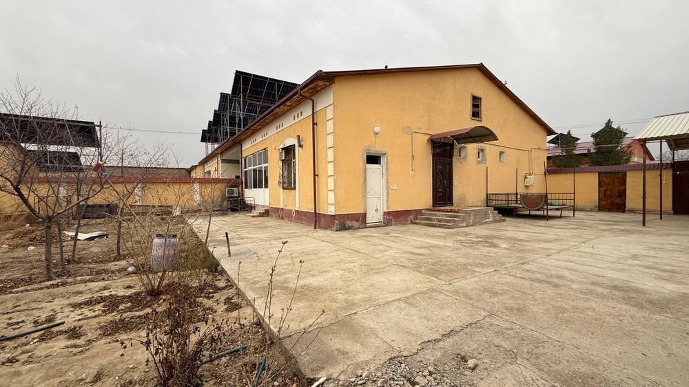 Do'stlik 2014 kotej sotiladi