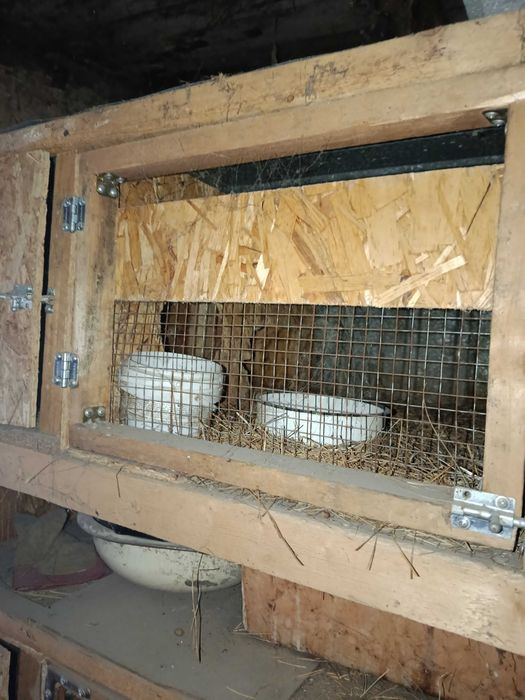 Крольчатник на 6 секции с гнездами