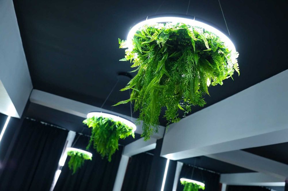 Дава се под наем Зала за събития в Банкя -  кв.м за 66.3 € - Снимка #12