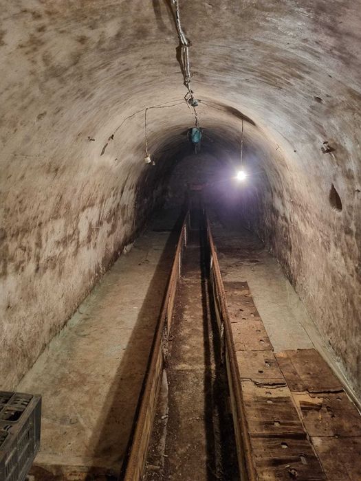 Vand pivnita in Episcopia Bihor