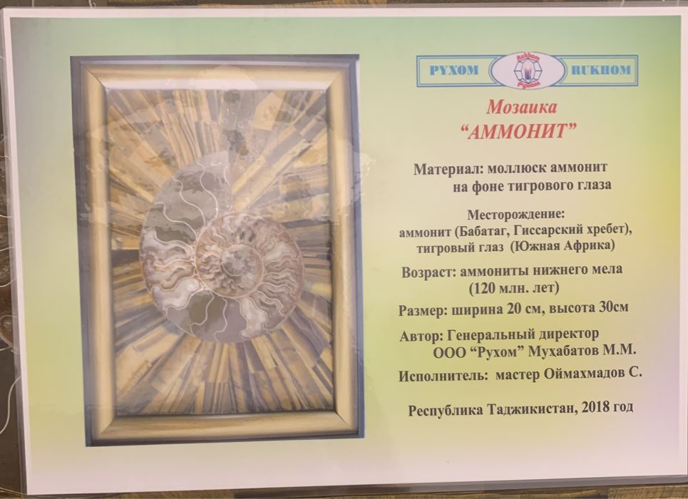 Мозаика Аммонит Пано