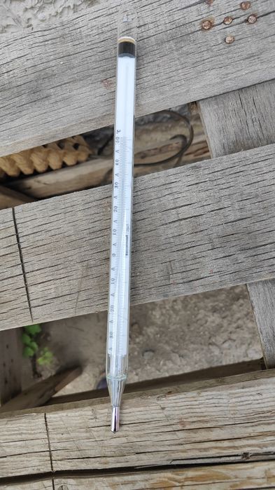 Термометр ртутный