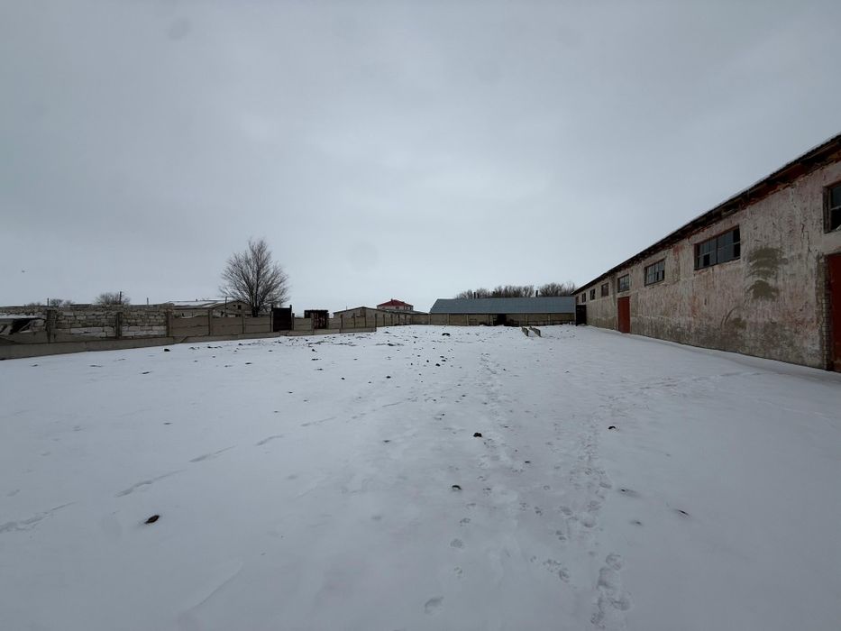 Продам крестьянское хозяйство