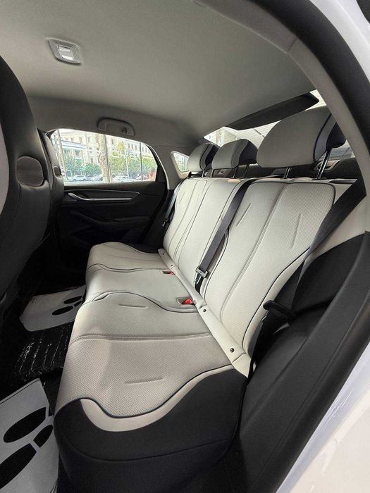 Byd Chazor DM-i 55km Active