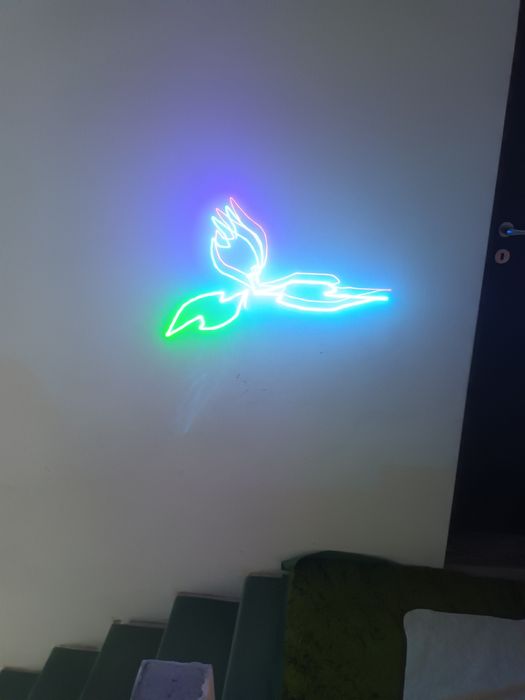 Laser profesional 3 d club, evenimente