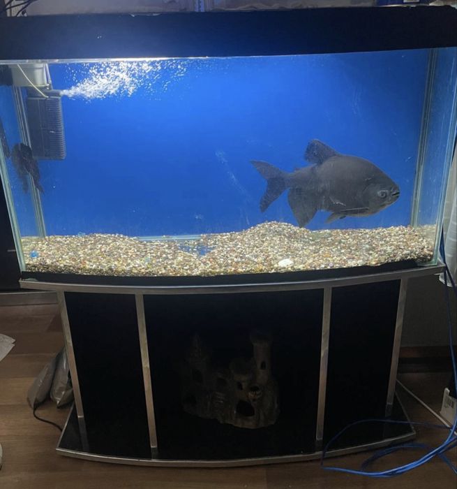 Аквариум 200 литров