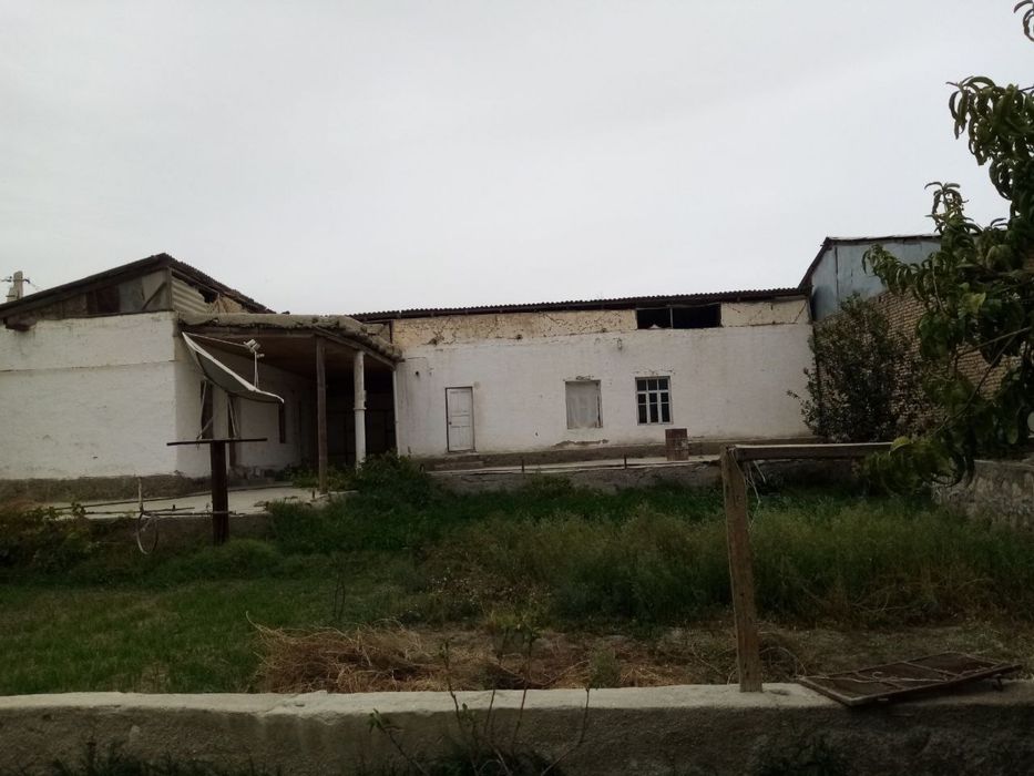 Когон туман чопик-1