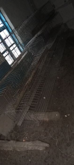 Utin va bolorlar sotiladi srocna