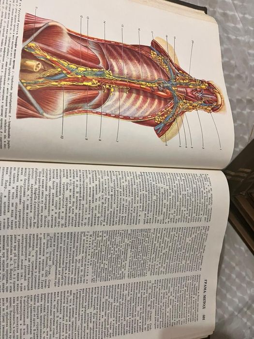 Медицинская энциклопедия