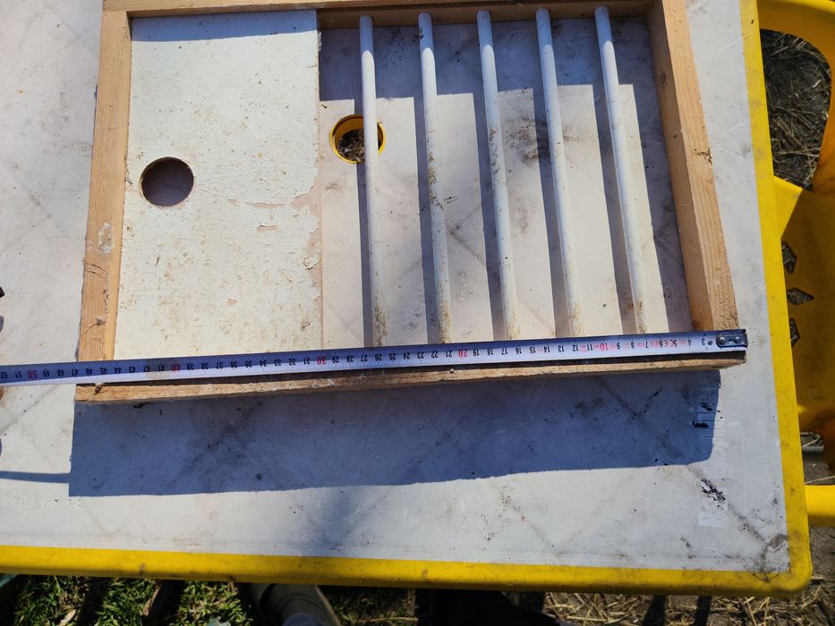 20 de fete boxa și 20 de cuibare.