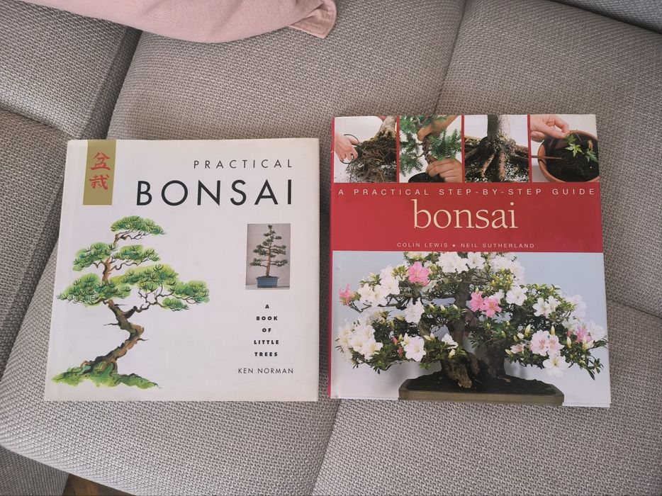 Practical  Bonsai