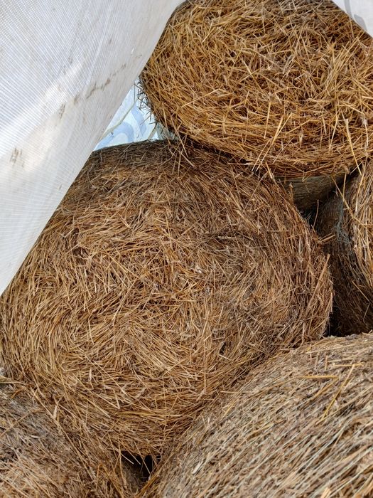 Baloti de paie în plasă