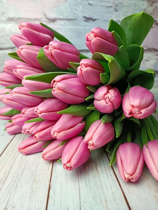 Оптом тюльпаны Беларусь