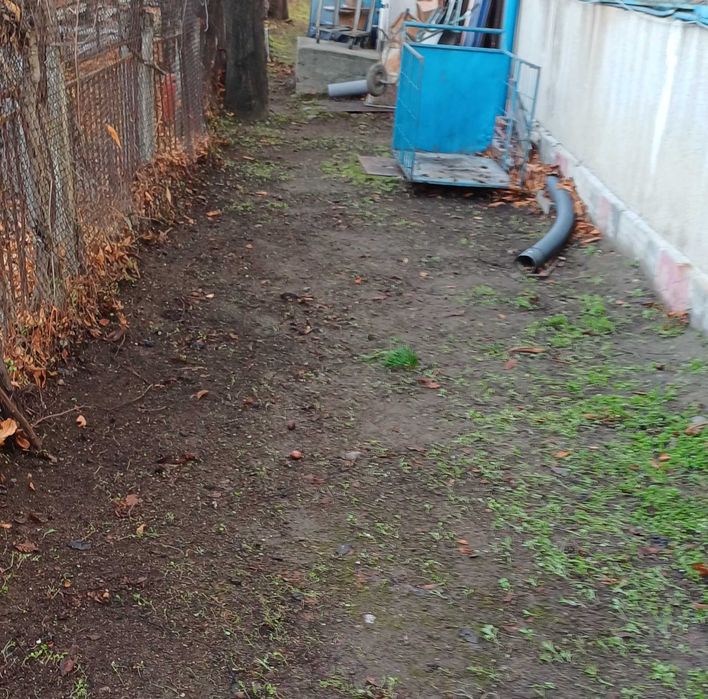 Почистване на сезонен листопад и растителни отпадъци