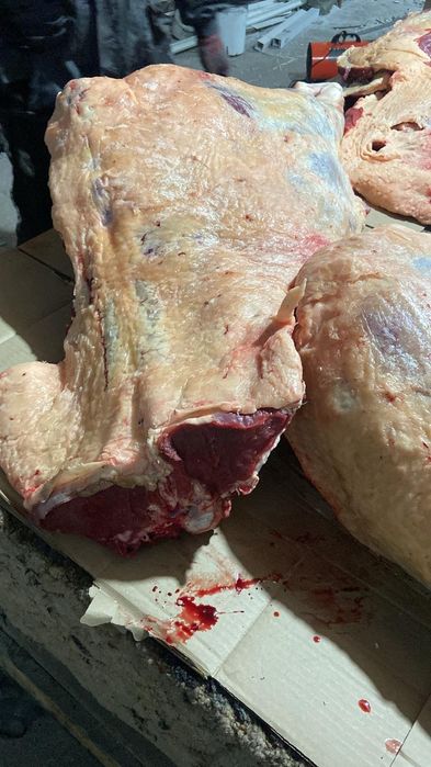 Мясо молодняк Конина Говядина