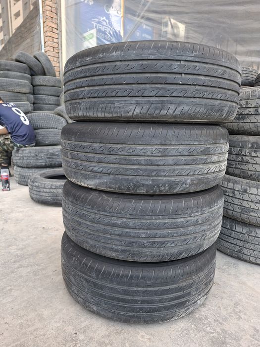 Jentra arginal saka diska balon ayirboshlash bor