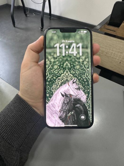 Iphone 13 pro max