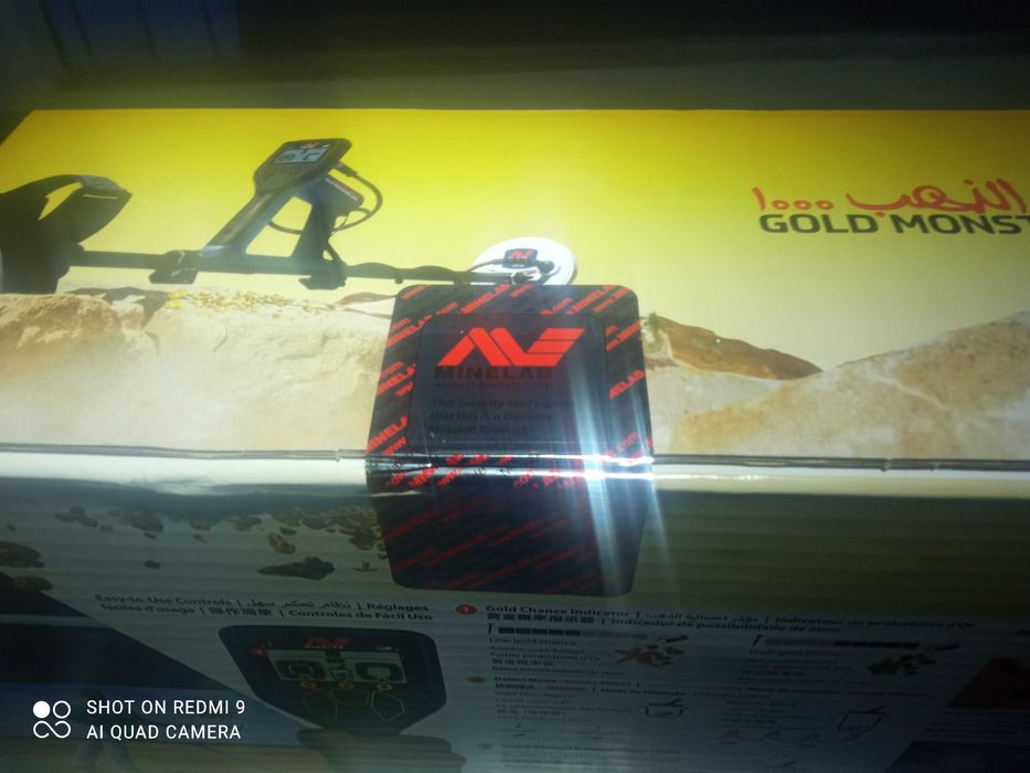Minelab Goldmonster 1000