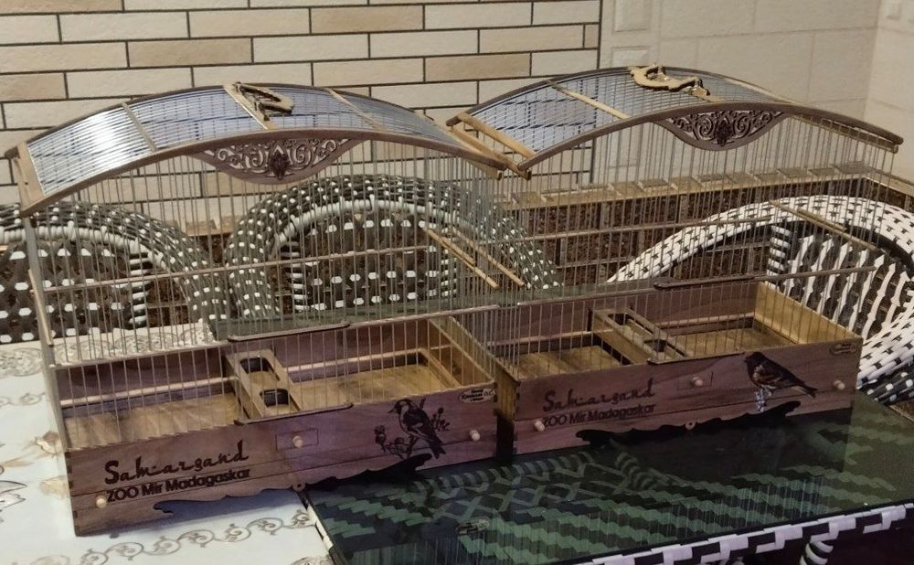 юнгок клеткалар сотилади