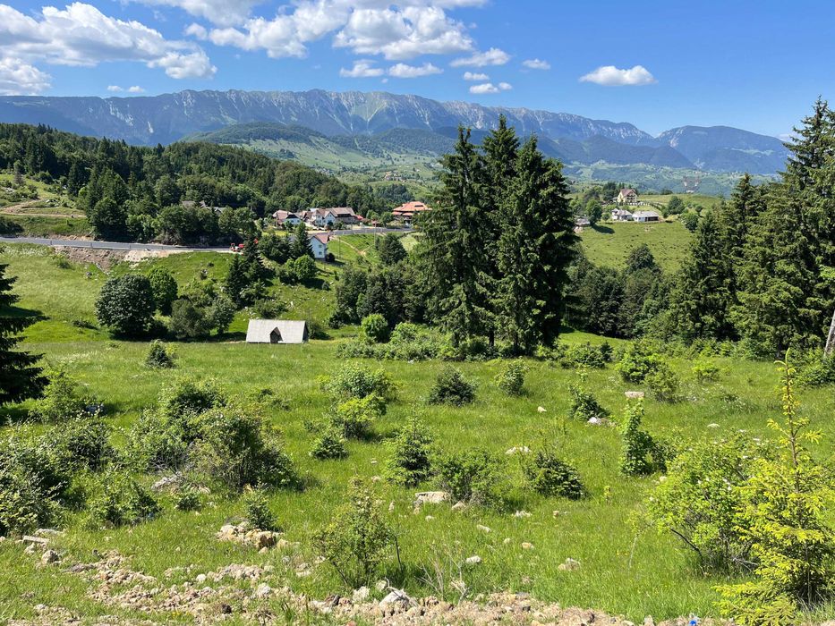 Teren de vânzare – Fundata, Brașov | Priveliște superbă