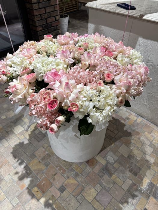 Прдаю цветы срочно