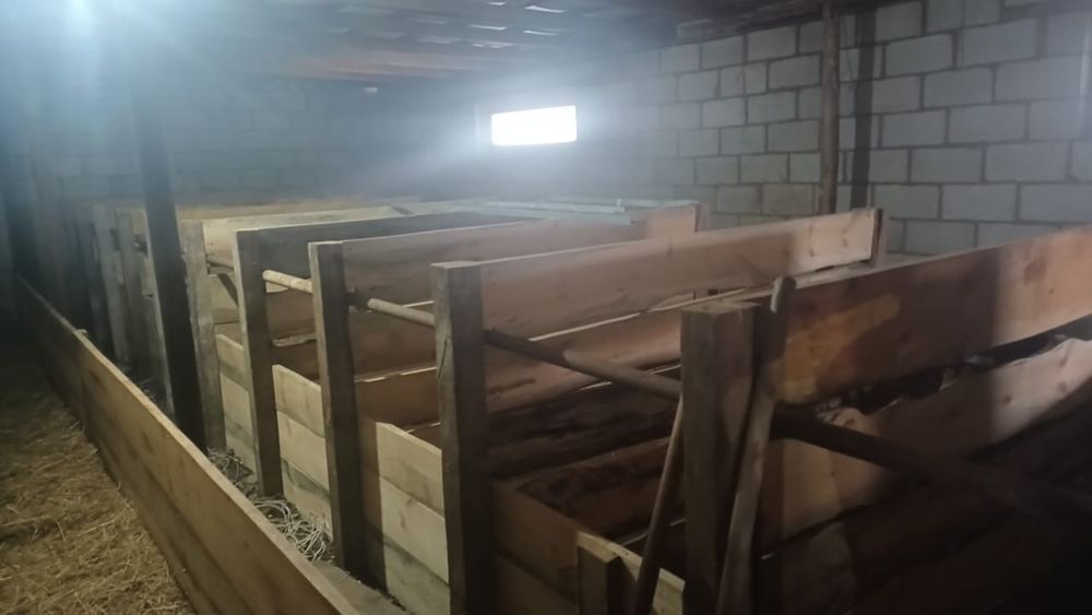 Продам хозяйство для ЛПХ