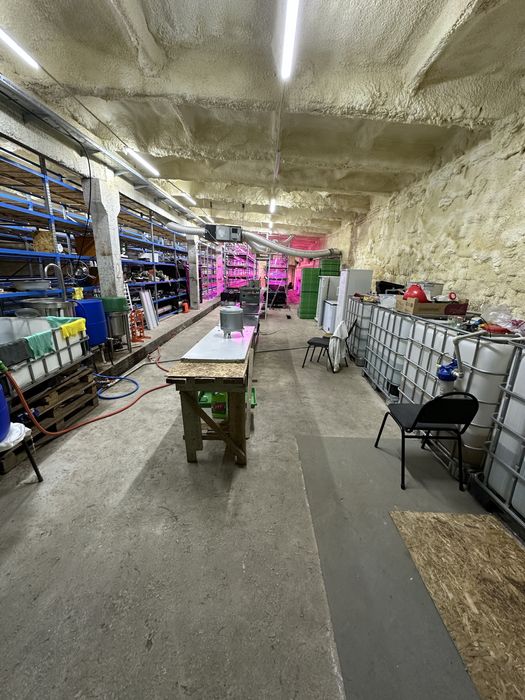 Готовый бизнес!!! Гидропоника