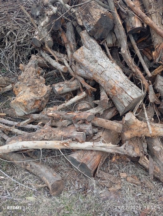 Oʻ'tin sotiladi kelish turib beramiz