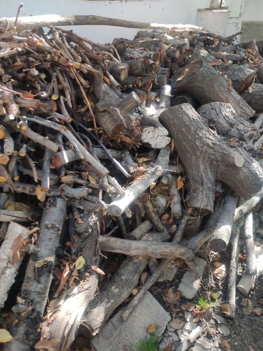 Продаются дрова от фруктовых деревьев